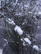 ����s���̏���