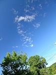 PU
