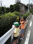 OM0-10で虫を撮る