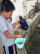 貝殻ひろい