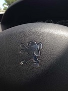 vW[307̈ى