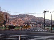 2016-04-12 05.51.07.jpg
